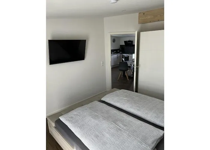 Amselnest Comfortable